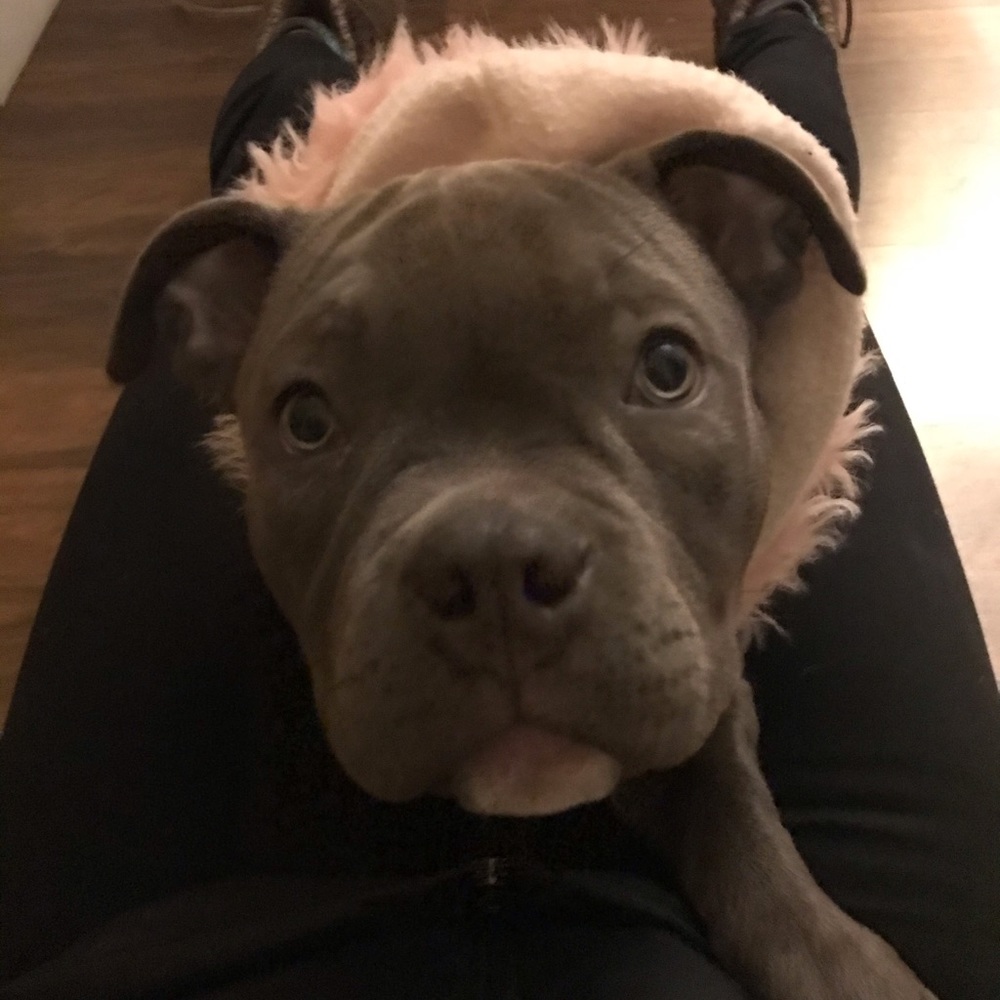 Meet your Posher, Leigh